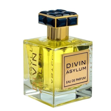 Divin Asylum Eau De Parfum By FA Paris FRAGRANCE WORLD