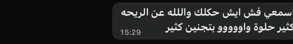 الداخل